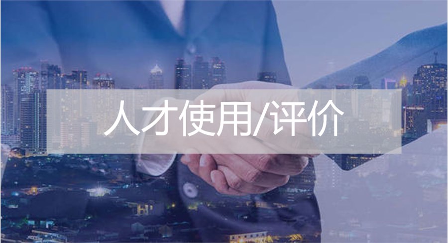 人才使用/評價